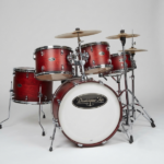 Batearia acustica california CJP0765B