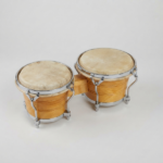 Bongo nacional