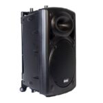LEXSEN SK-10PORT Parlante Amplificado Portátil - Imagen 3