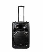 LEXSEN SK-10PORT Parlante Amplificado Portátil